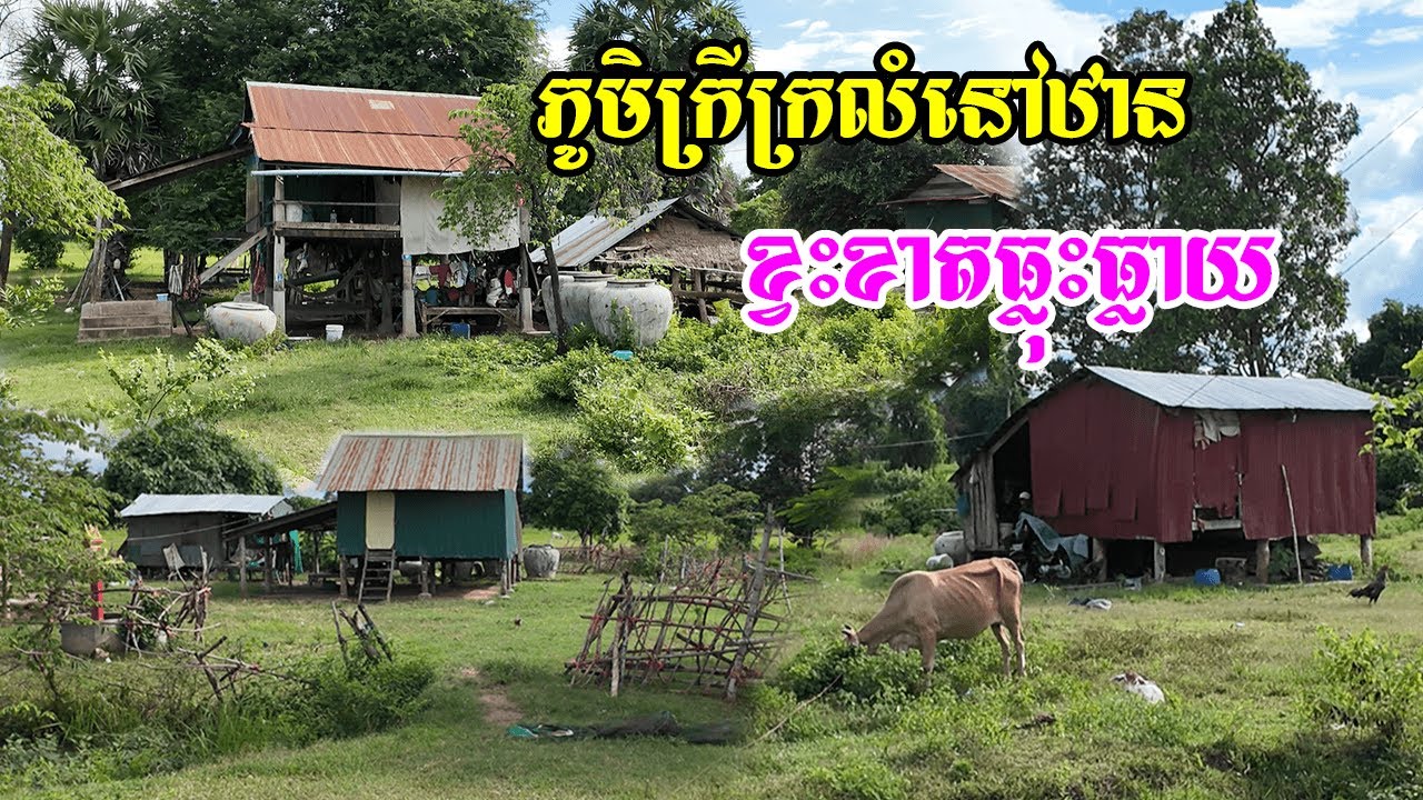 ភូមិក្រីក្រលំនៅឋានខ្វះខាតធ្លុះធ្លាយដាច់ស្រយ៉ាលនៅក្នុងឃុំស្នឹងស្រុកបាណន់ខេត្តបាត់ដំបង
