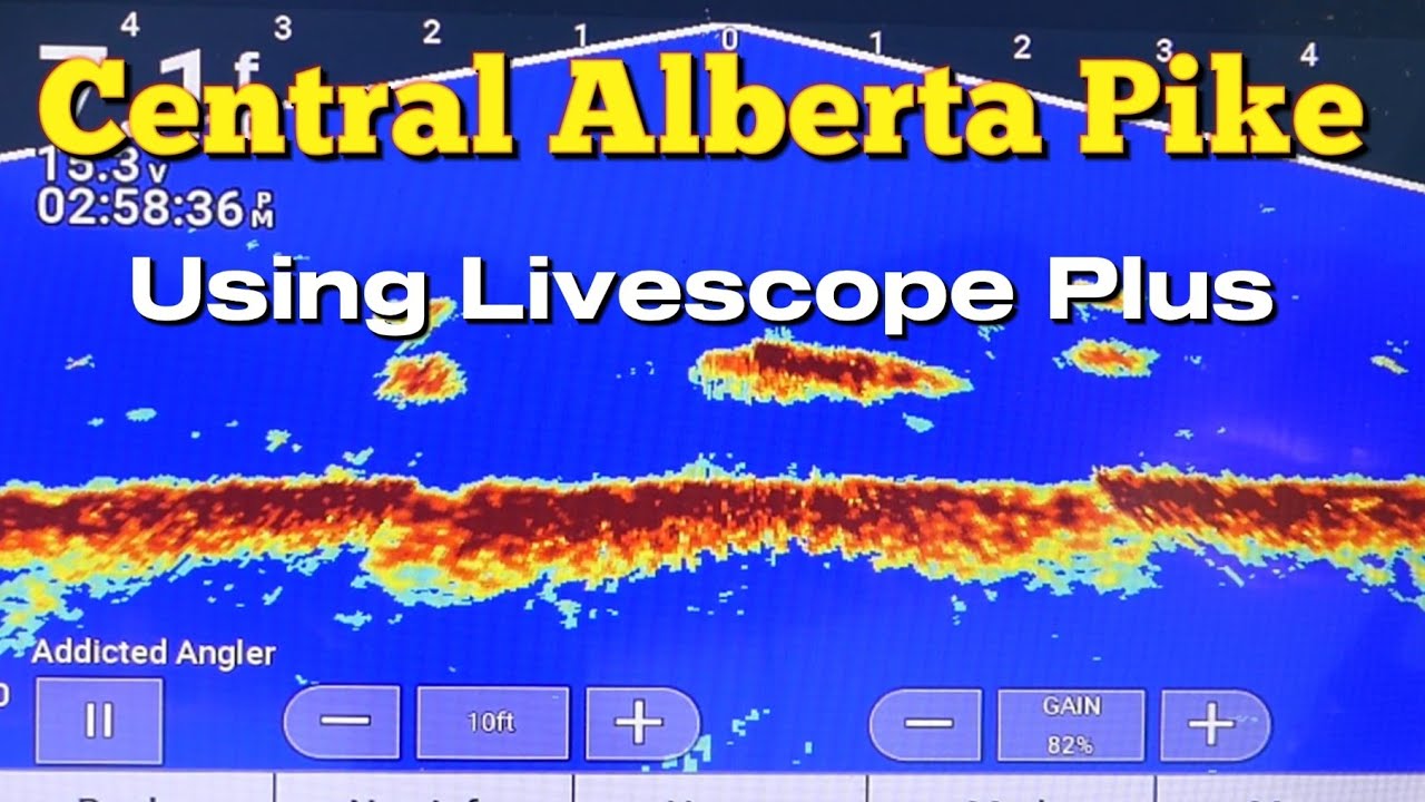 Central Alberta Pike With Livescope Plus