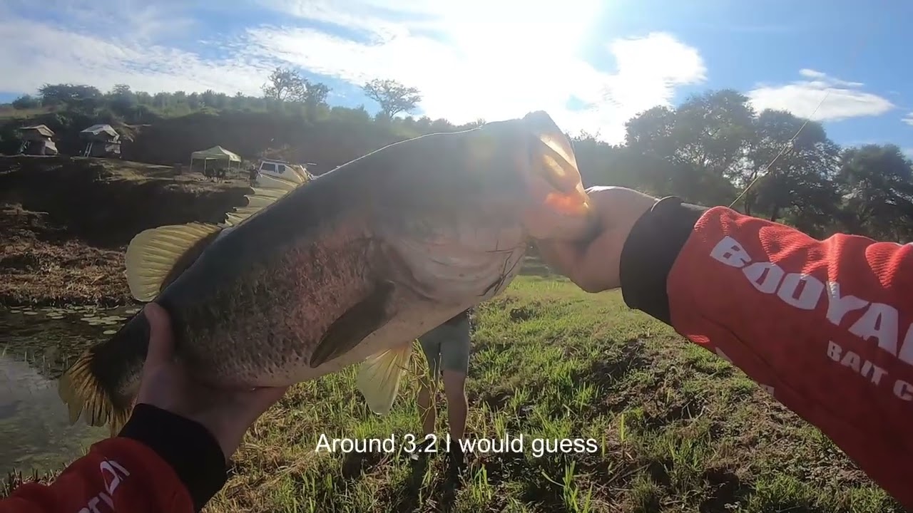 INSANE Bass Fishing on McCarthy Slinky (Green Pumpkin Flash) at the Farm Dam! 🎣🔥