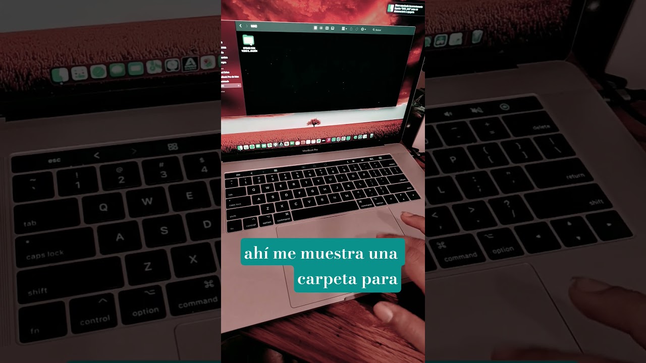 Mac no muestra archivos en USB