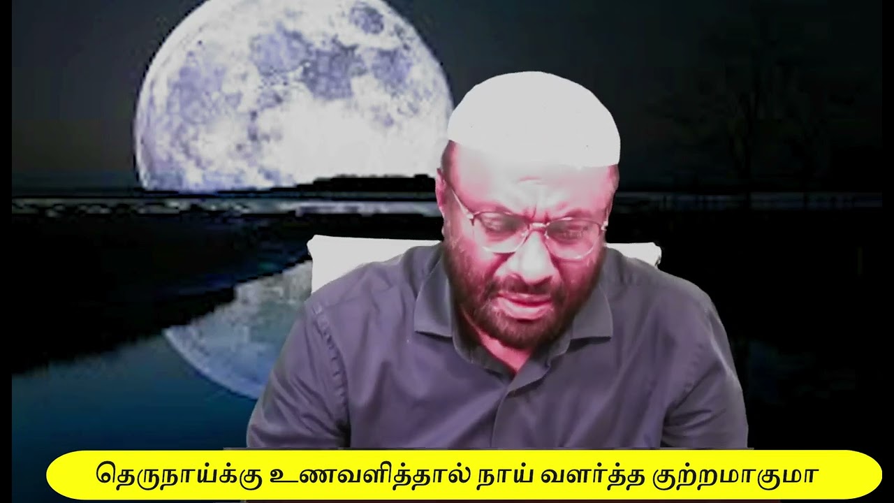 தெருநாய்க்கு உணவளித்தால் நாய் வளர்த்த குற்றமாகுமா?