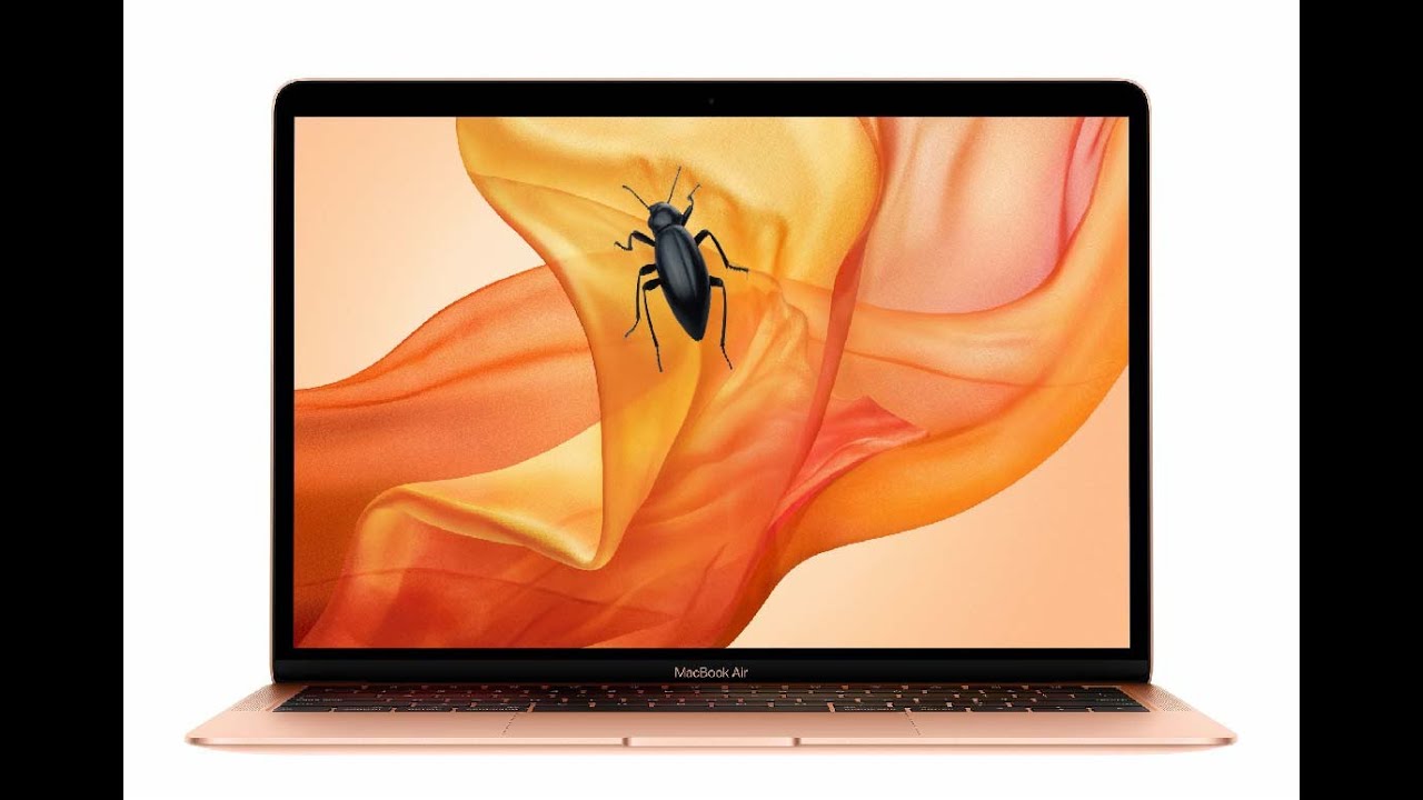 Unbelievable! There's an insect in my MacBook Air Display!