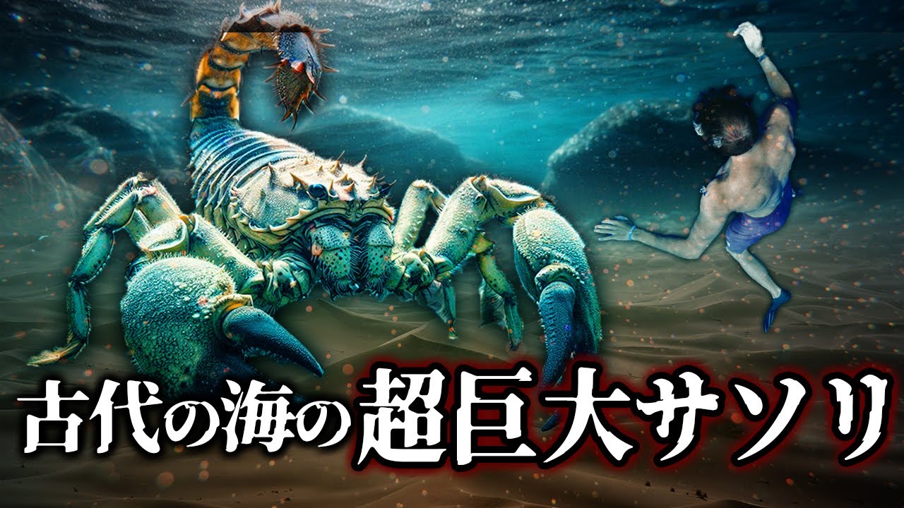 【ゆっくり解説】節足動物最大！2.5mもある古代の海のウミサソリとは何者か？