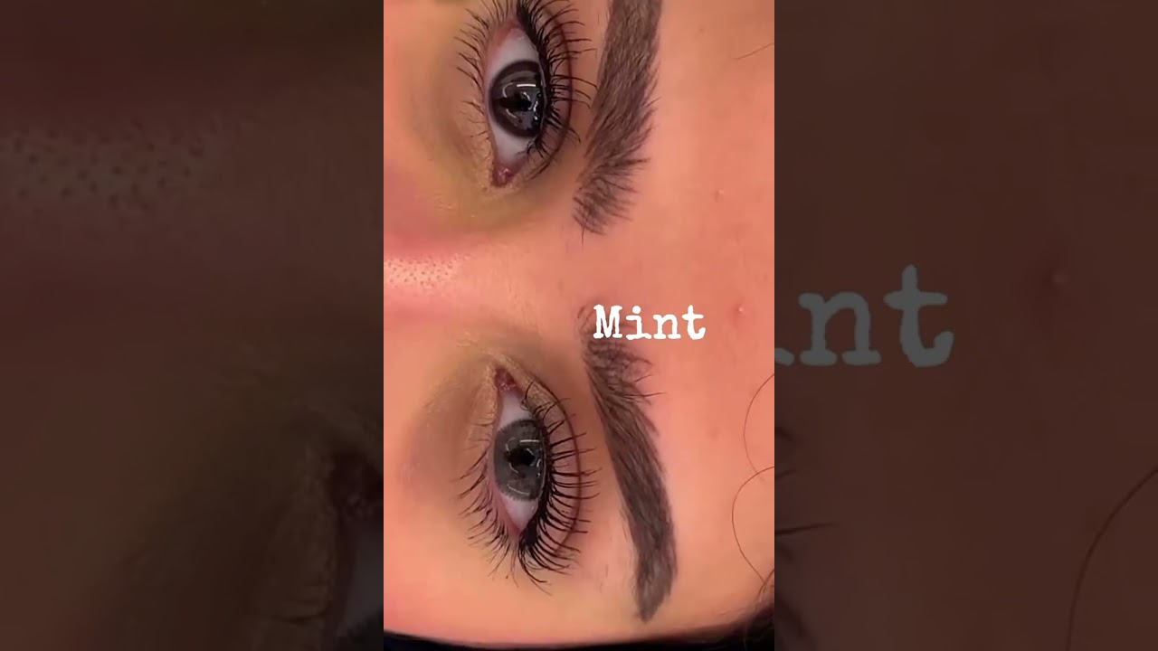 عدسات نيو لنس . نور شرف                                       New Lens
