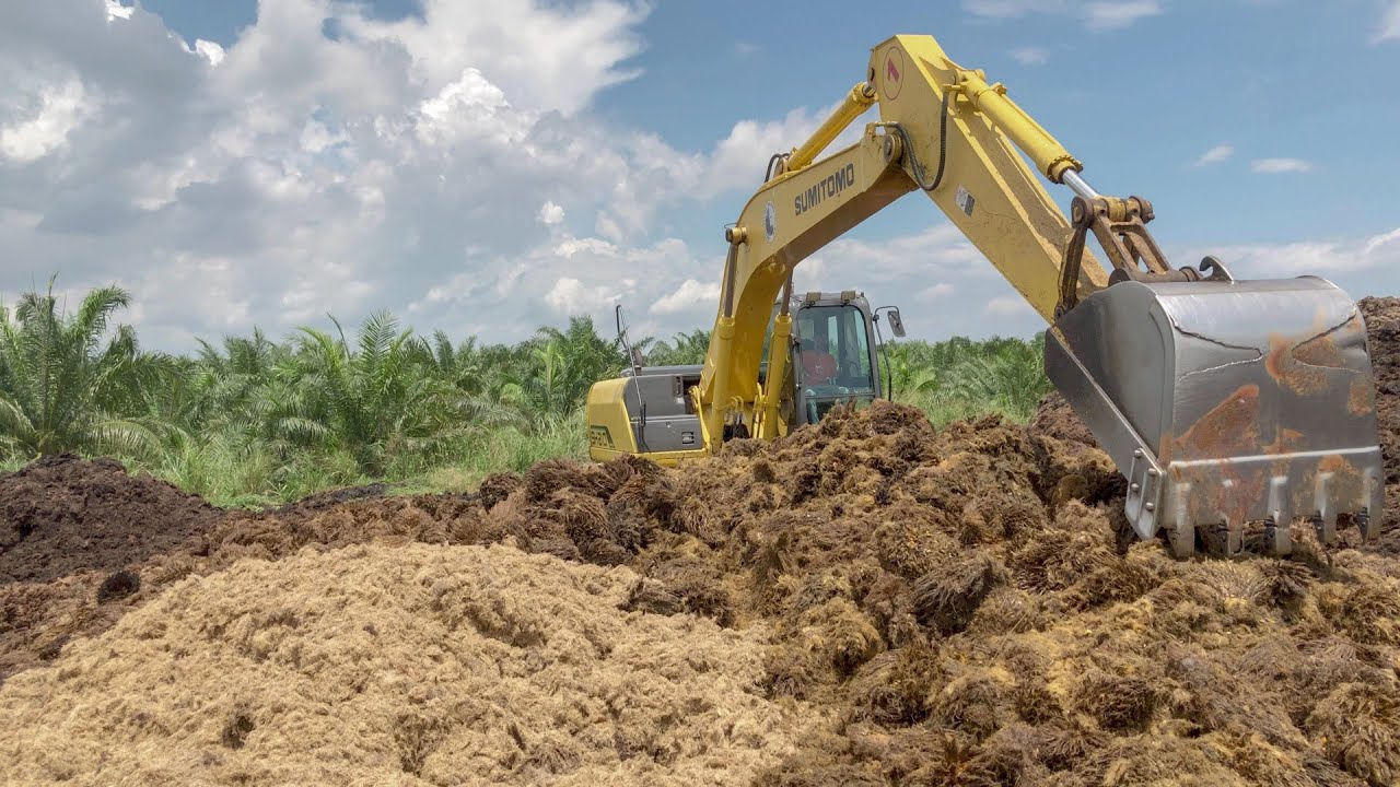 How to make compost from oil palm waste (EFB)