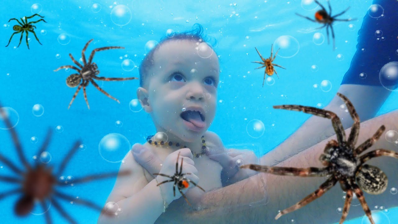 MERGULHAMOS O ANTHONY EM UMA PISCINA COM ARANHAS! DESAFIO DOS FEIJÕEZINHOS DE TODOS SABORES