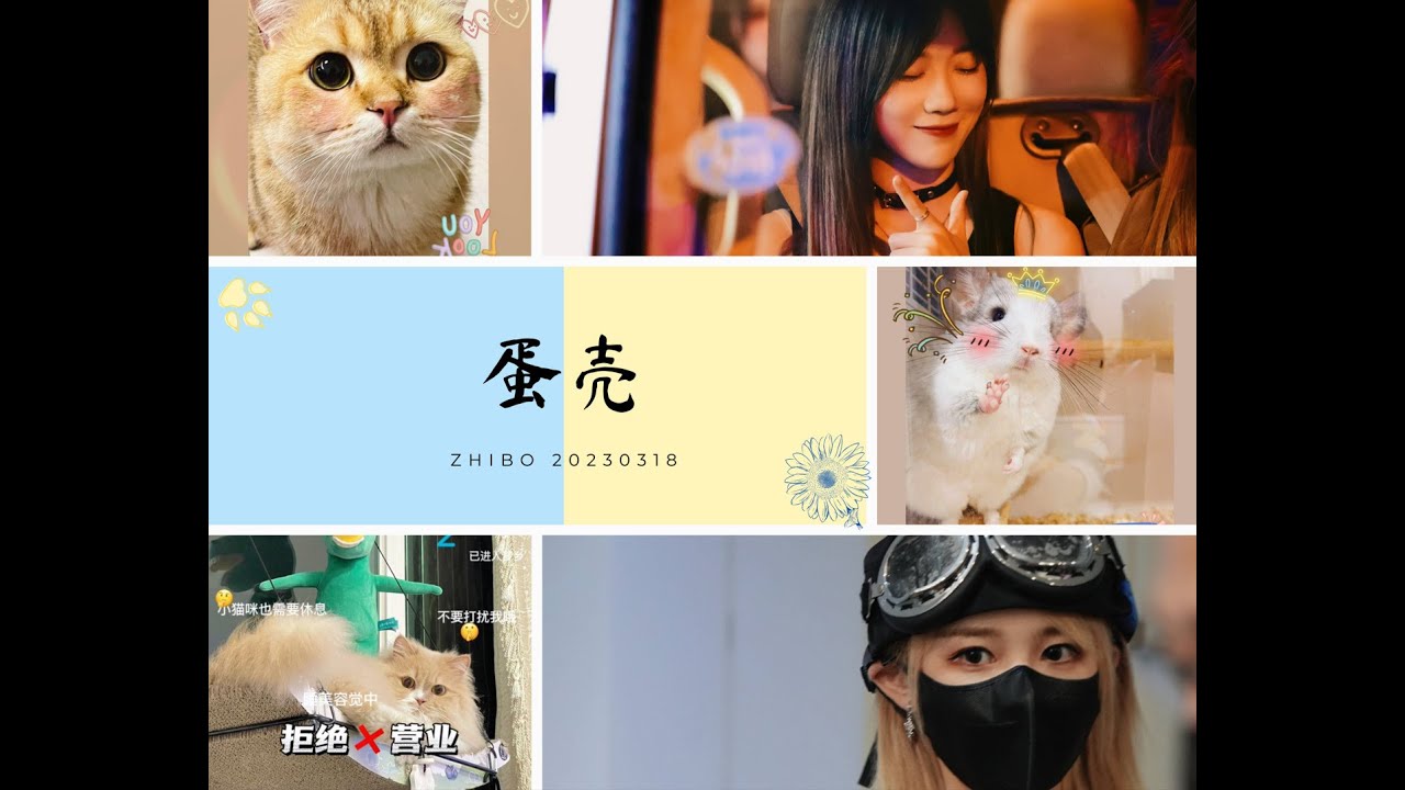 [20230318][GNZ48 蛋壳][Đản Xác]: Nhớ em rồi sao? Khi nào thì đến thăm em?