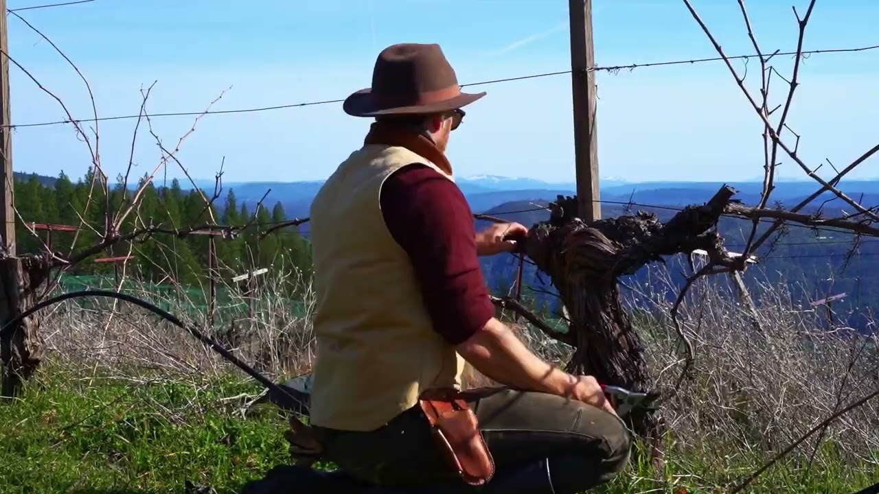 02 - Pruning Syrah, Fixing my Hammer, Studio Build