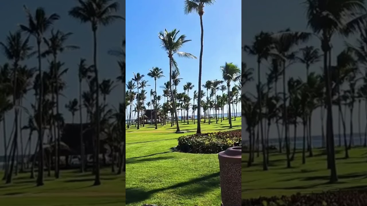 Descubra o Club Med Punta Cana! 🌴✈️ 