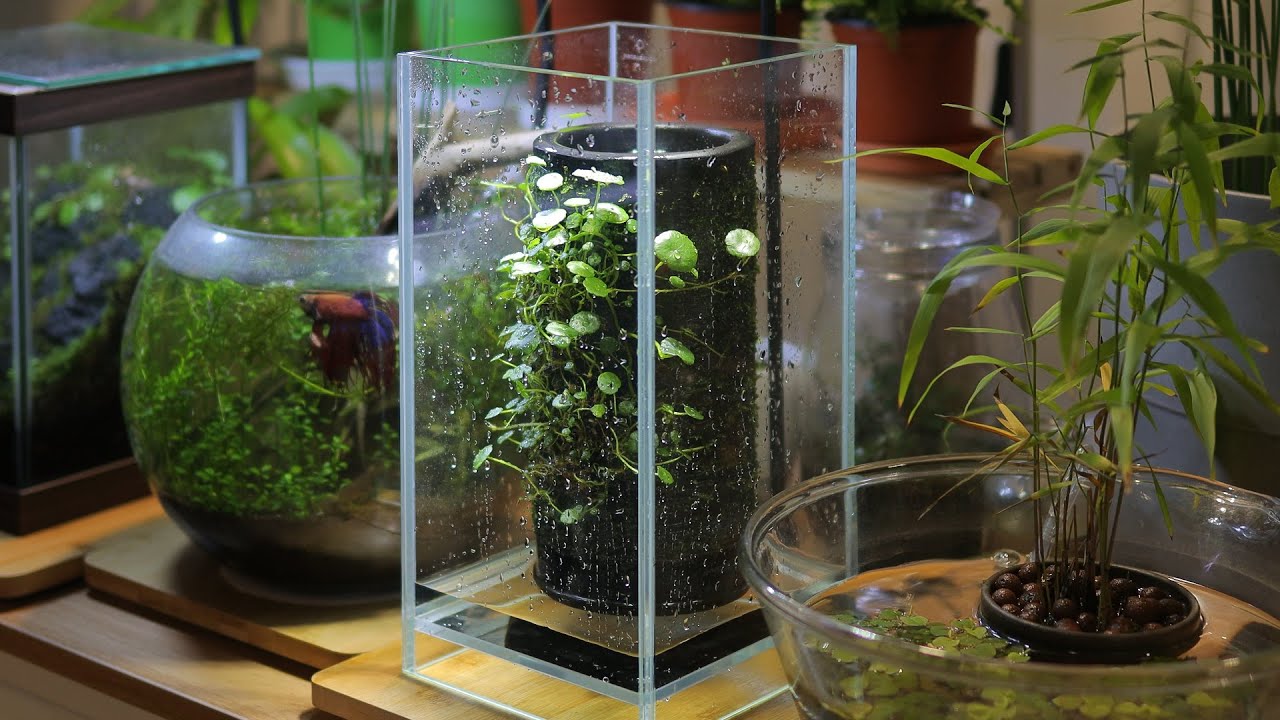 [ENG] 동화 속 숲속 테라리움 | 테라 베이스 | 물멍 | LittleForest Terrarium | DOOA TERRA BASE | MulMung