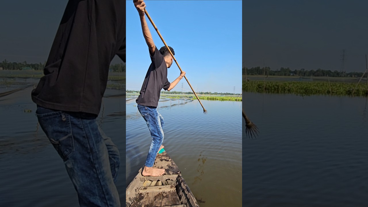 Traditional Boat Fishing Skill In Village Bill ✅ New boat fishing video(part-20)| 