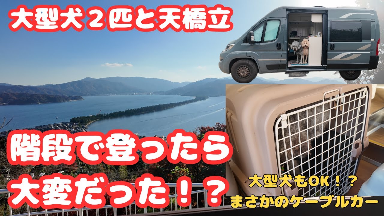 【デュカトキャンピングカー】大型犬２匹と天橋立を満喫できるのか！？階段で登ったら想像以上に大変だった！？