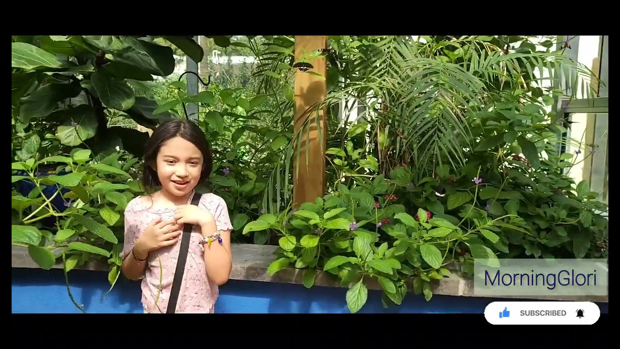 San Antonio Zoo Butterfly Exibit
