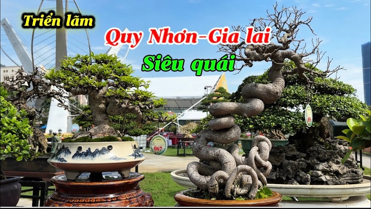 P1-Triển lãm SVC Quy Nhơn-Gia lai-siêu quái