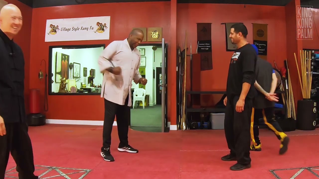 How To Use Choy Li Fut Tiger Style In Street Combat - The KKP Way