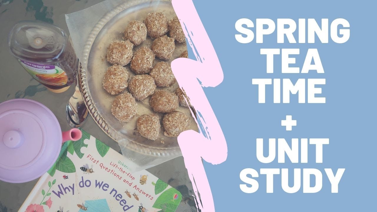 🐝 SPRING TEA TIME + UNIT STUDY 🌸 || BEES + POLLINATION