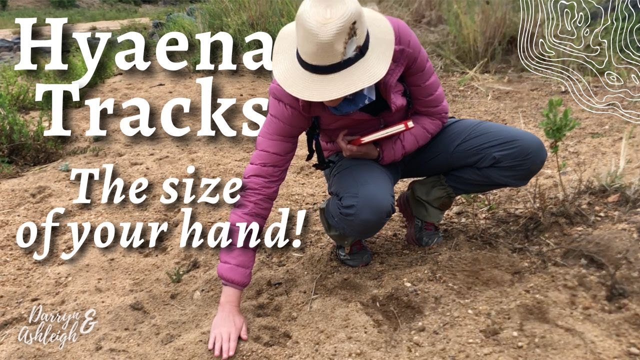 Greater Kruger National Park | Manukuza Tracks and Signs