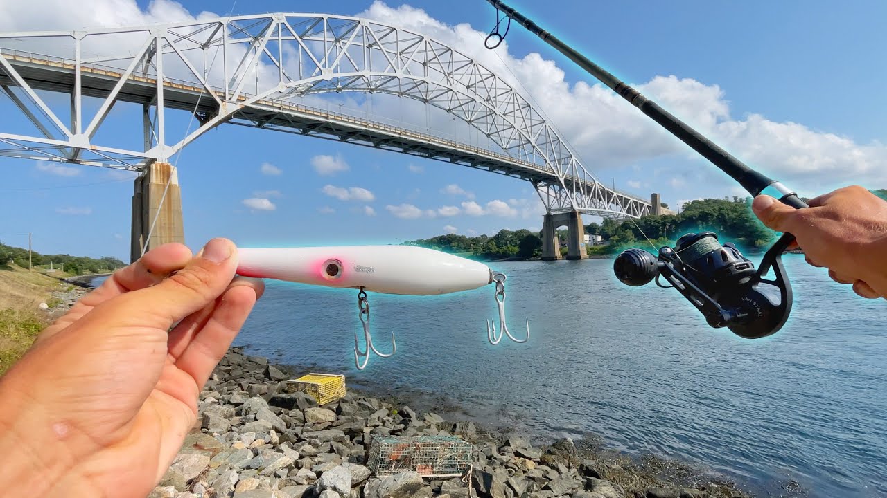 15 Hours Grinding the Cape Cod Canal for a Bite!