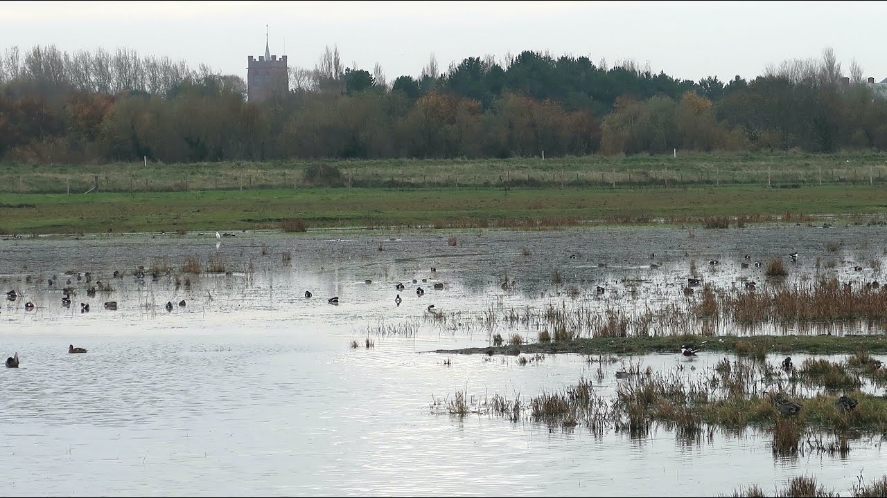 Marshside Nature Reserve & Botanic Gardens Southport