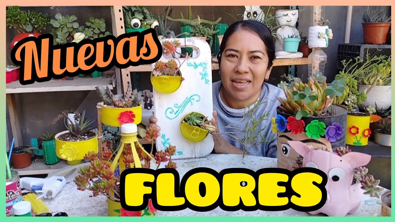 Flores nuevas para mis macetas MANTENIMIENTO A MIS MACETAS RECICLADAS #macetasrecicladas 