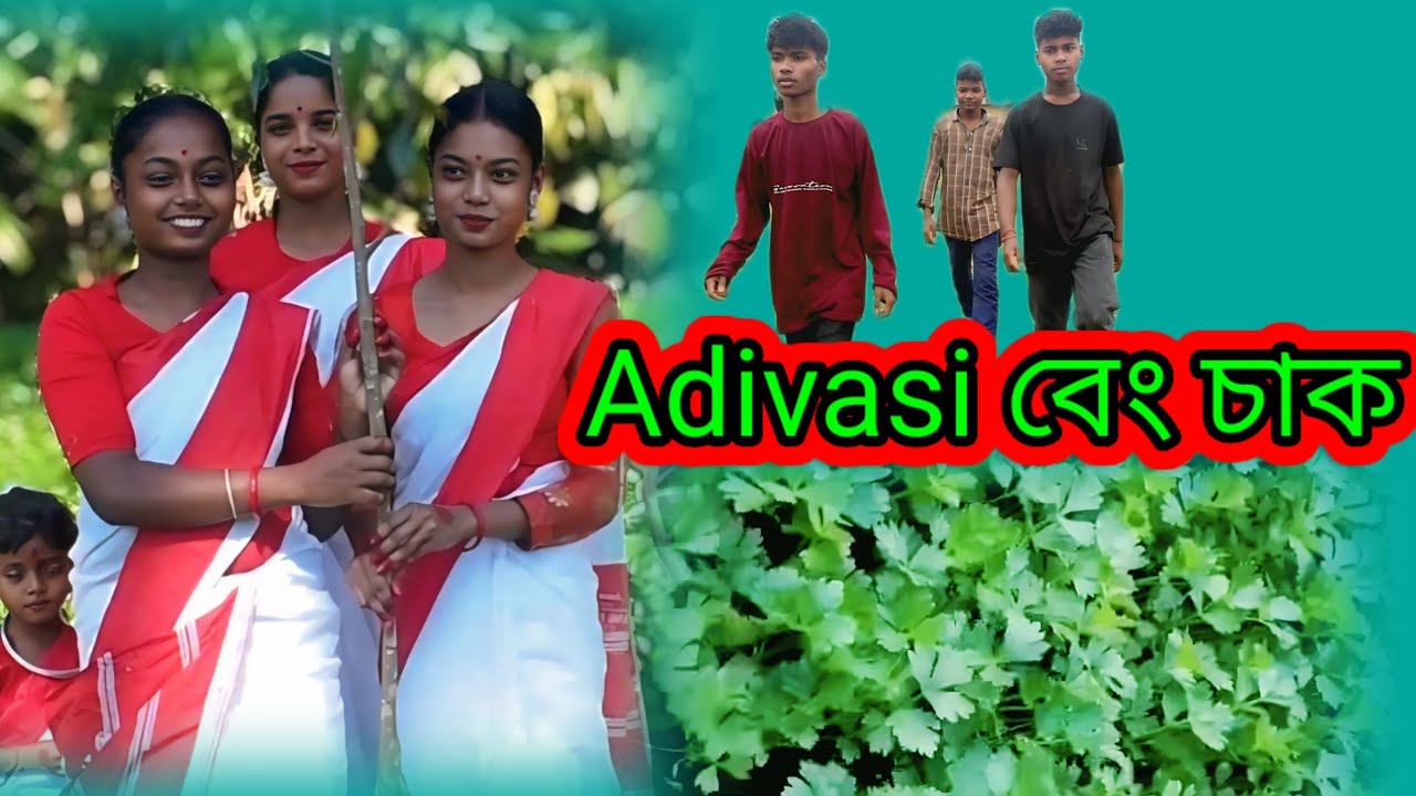 🙏🙏l Aadivasi বেং চাক video#bs