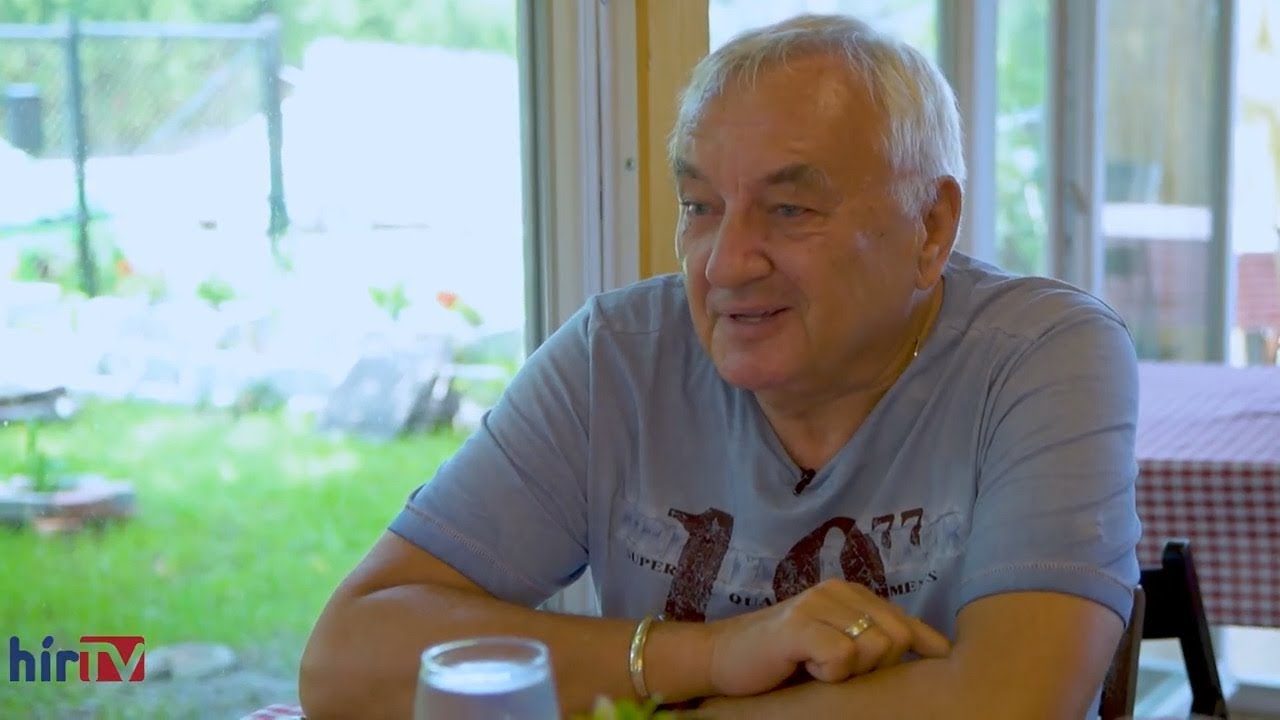 Havas Henrik a Privátszférában