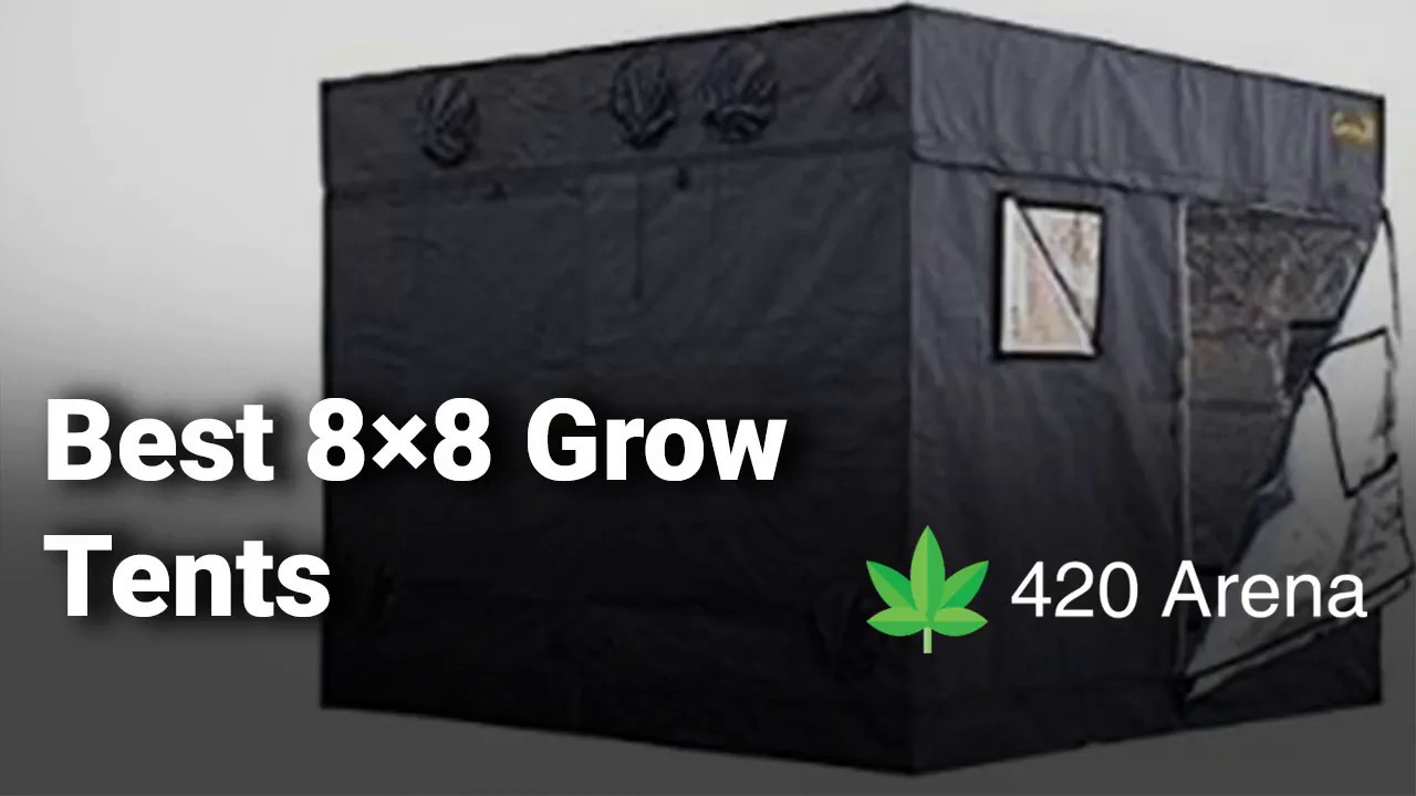 Best 8&times;8 Grow Tents: Complete List with Features & Details - 2019