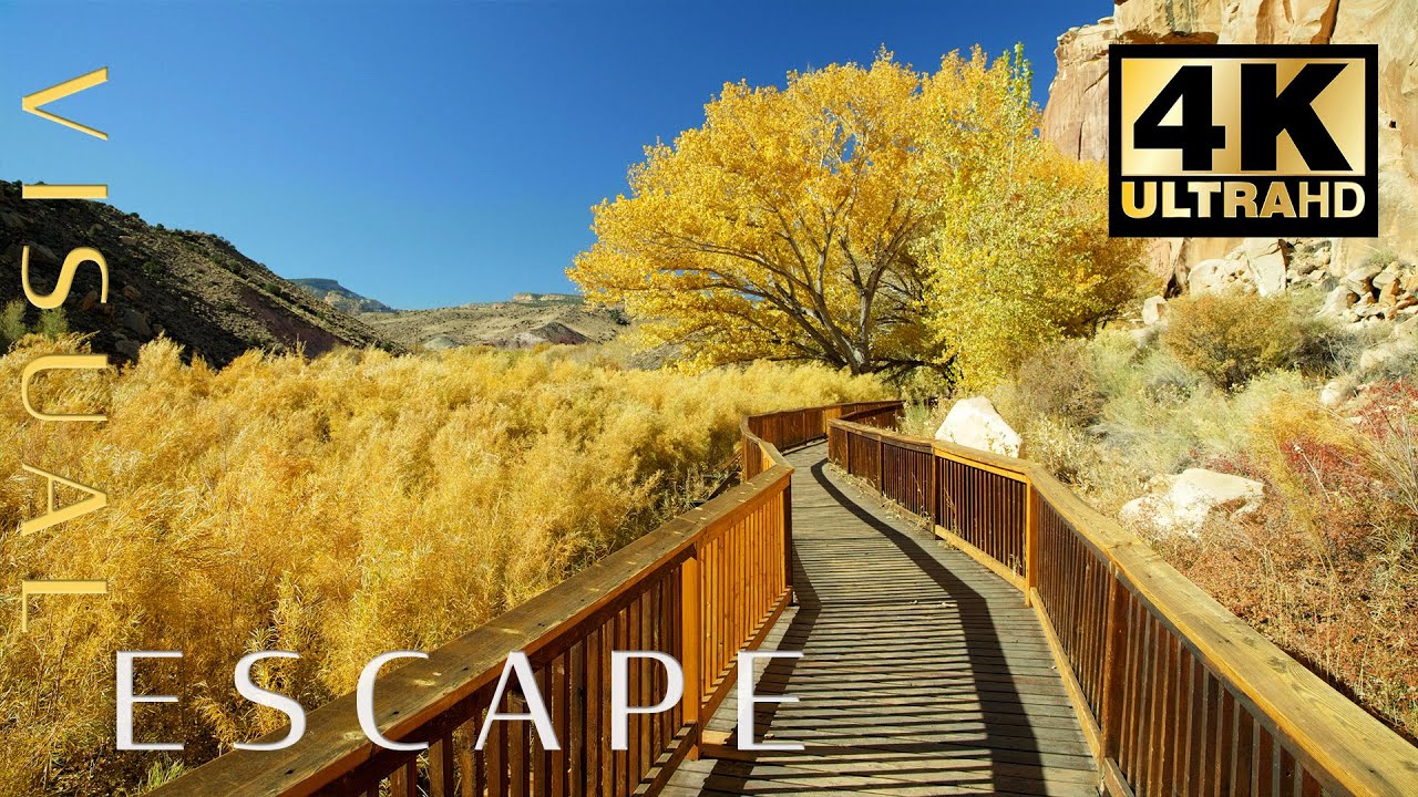 Bridge to Quiet | Peaceful Meditation and Sleep Music  in Picturesque Scenery