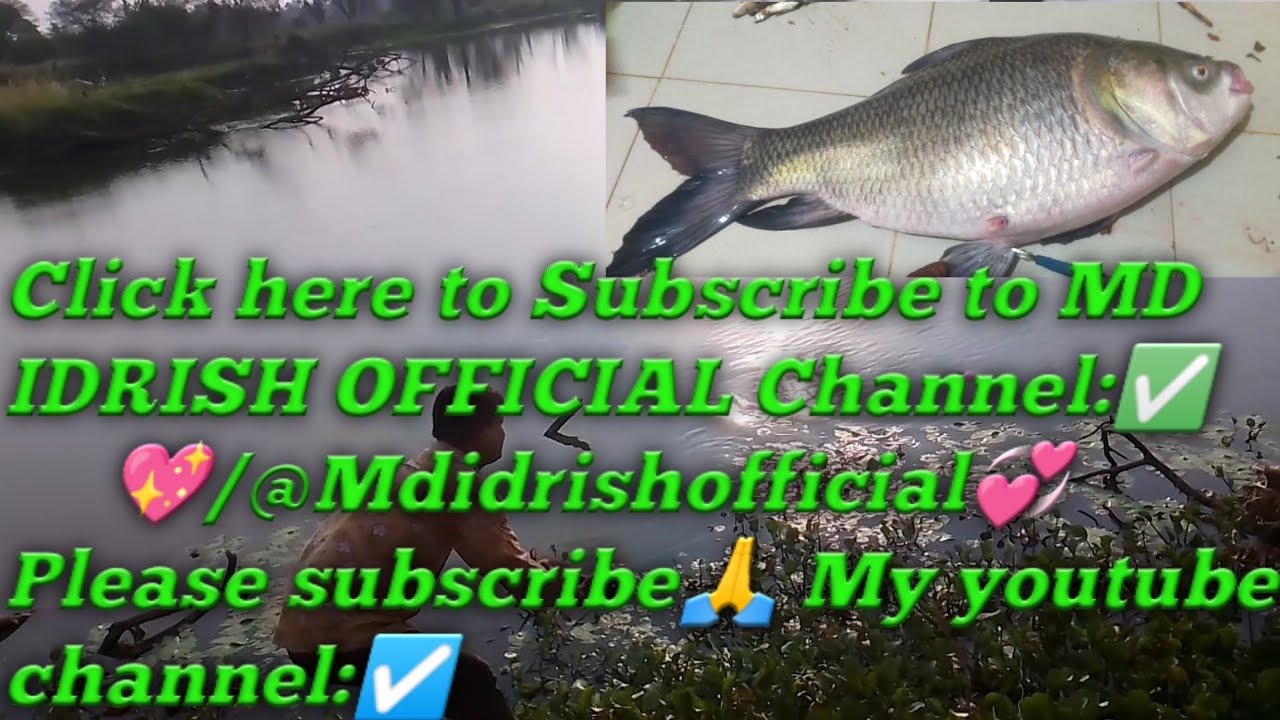 Fishing Video 🐠 🎣 Coimbatore Tamil Nadu 💖#fish #fishingvideo #fishing