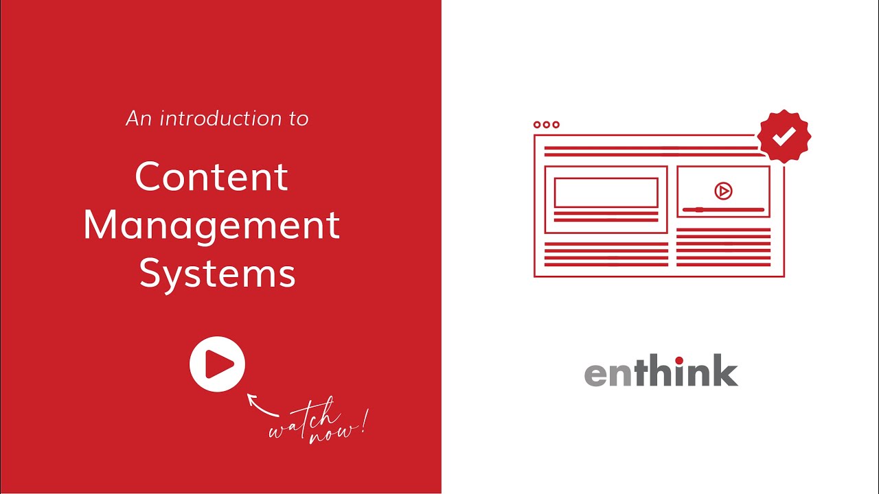 A Beginner's Guide to Content Management Systems