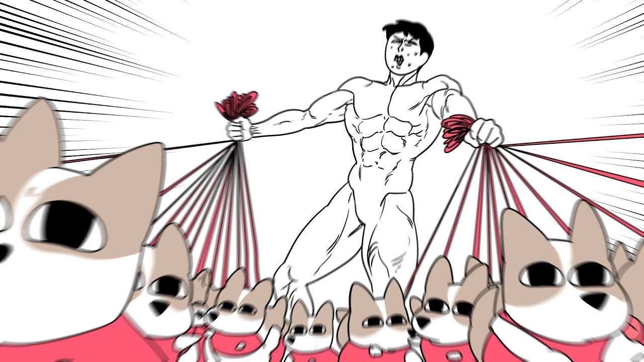 고양이 50마리vs강아지 100마리