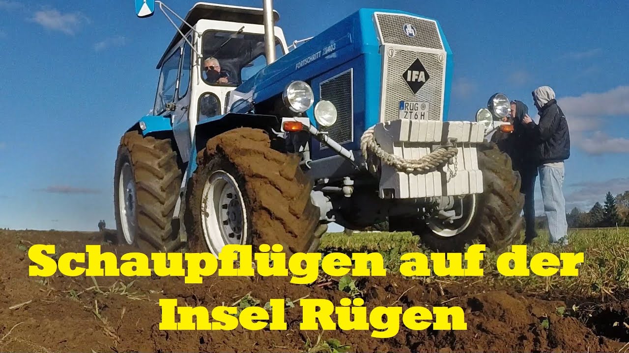 Schaupflügen auf der Insel Rügen 2025
