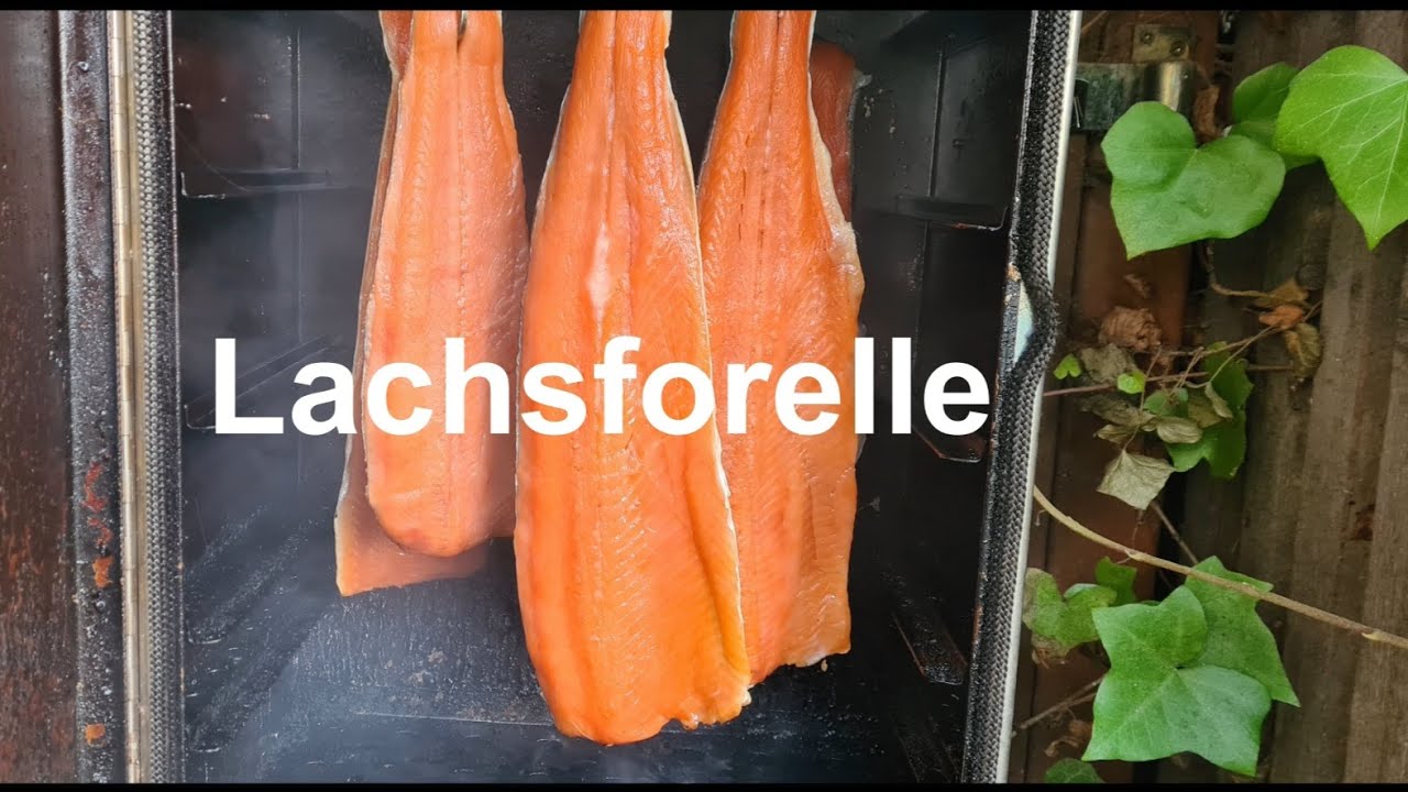 Lachsforellen Kalträuchern