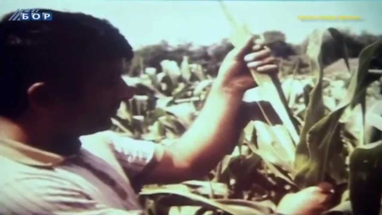 NEGOTIN - IHP PRAHOVO (1975)