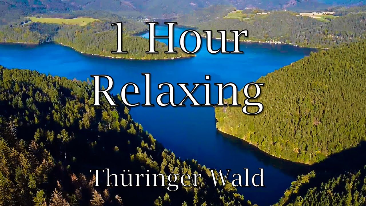 1 Hour Relaxing Forest Part 1