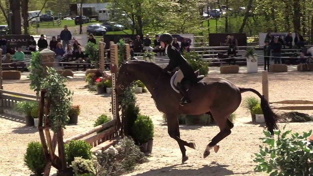 Brixten ridden by Hannah Politsky 2'6