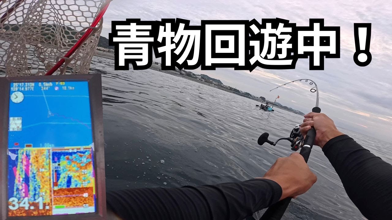 【サップフィッシング】秋の西湘は青物大集結　無限爆釣だけどダメダメすぎる