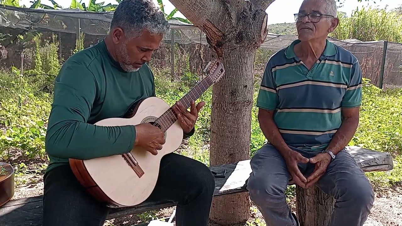 CHICO MINEIRO ( INTERPRETAÇÃO DE OLIVEIRA E PAULINHO MEDINA )
