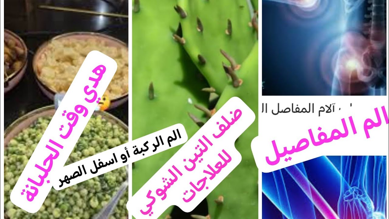 من يعاني من الم اسفل الضهر أو المفاصيل. رياضة خاصة والعلاج بالتين الشوكي.  أما الفطور هي جلبانة