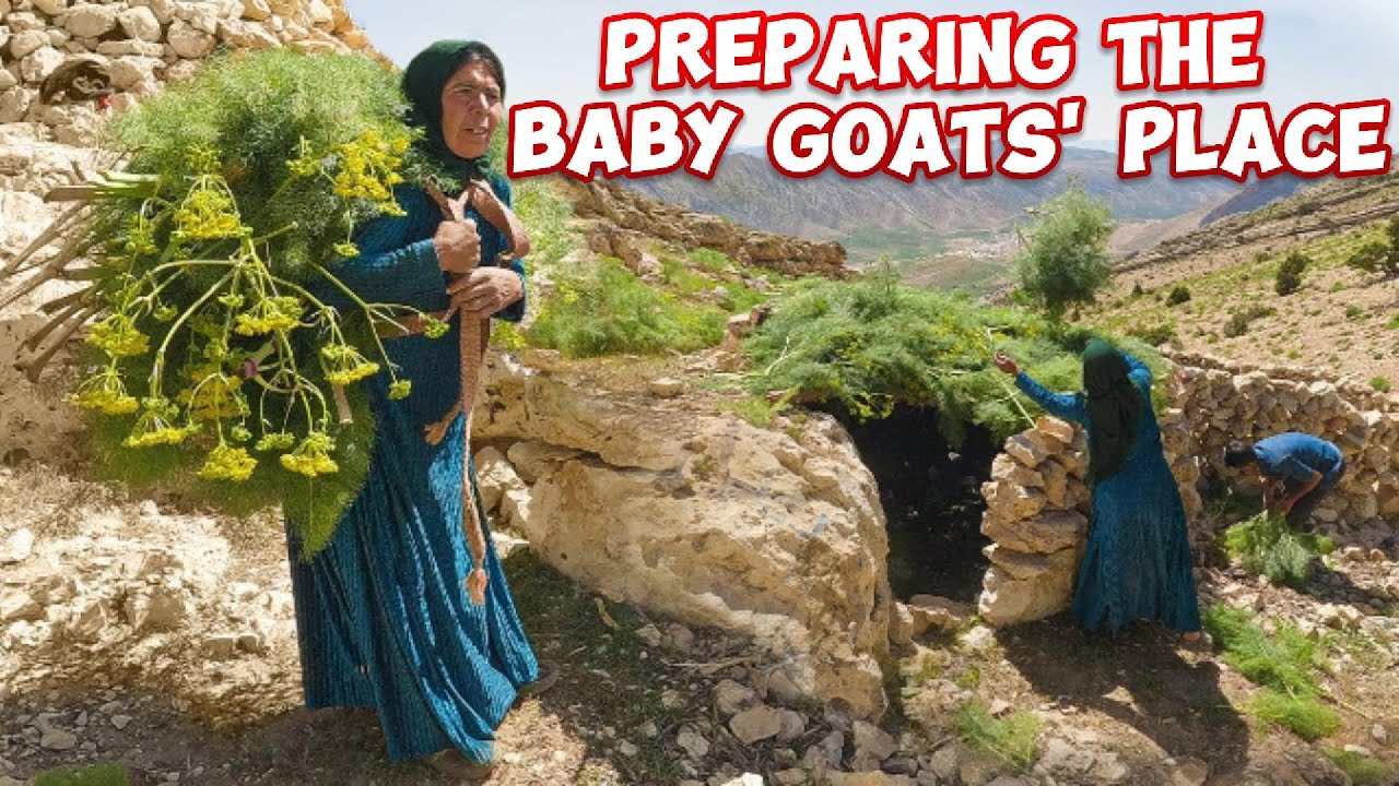Exploring Iran's Nomadic Life: Building Home for Baby Goats | Rural Village - C : Vesht