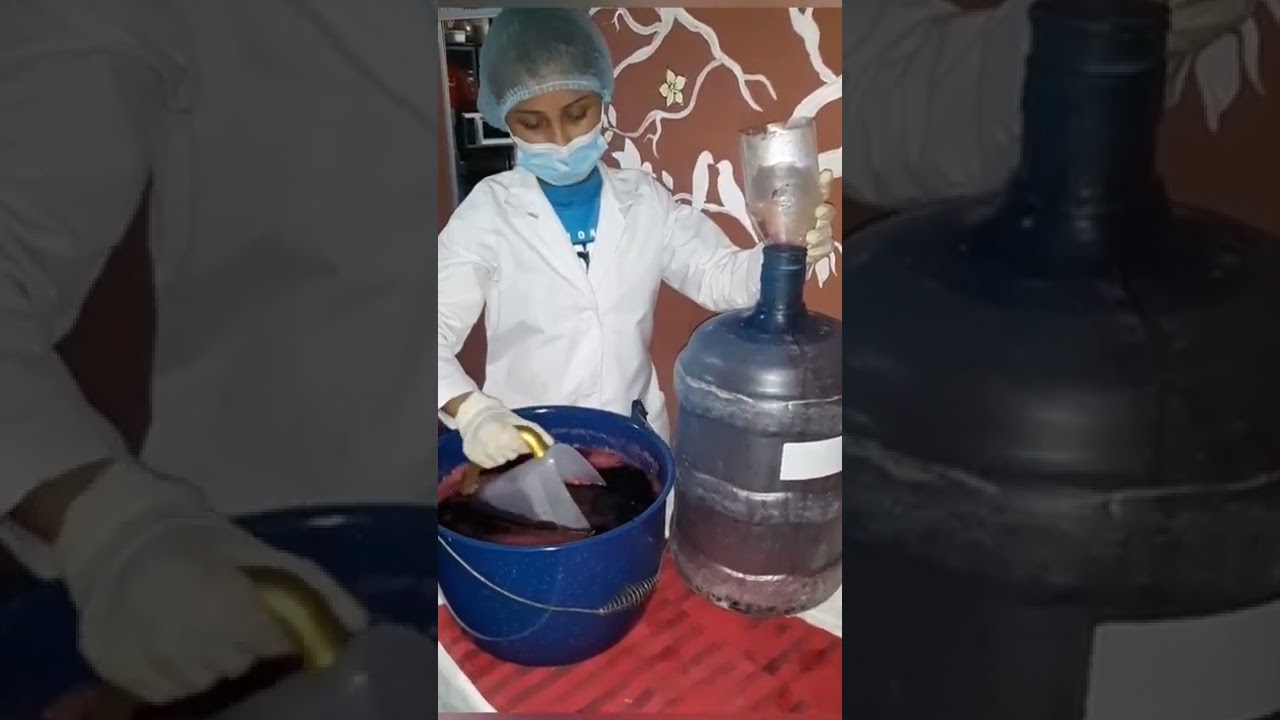 Elaboración de Vino de Jamaica