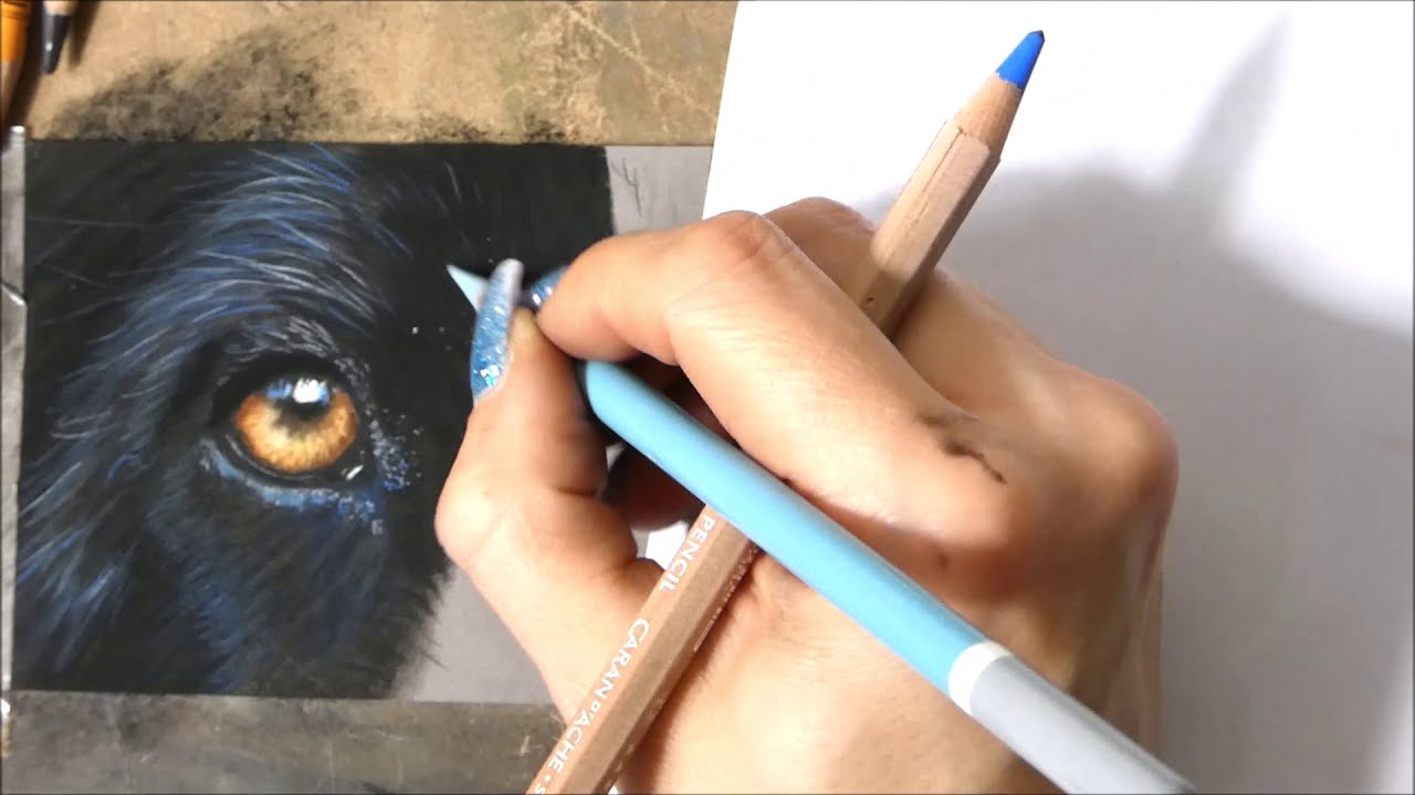 Pastell schwarzes Fell & Augen (Hund)/How to draw black fur with pastels