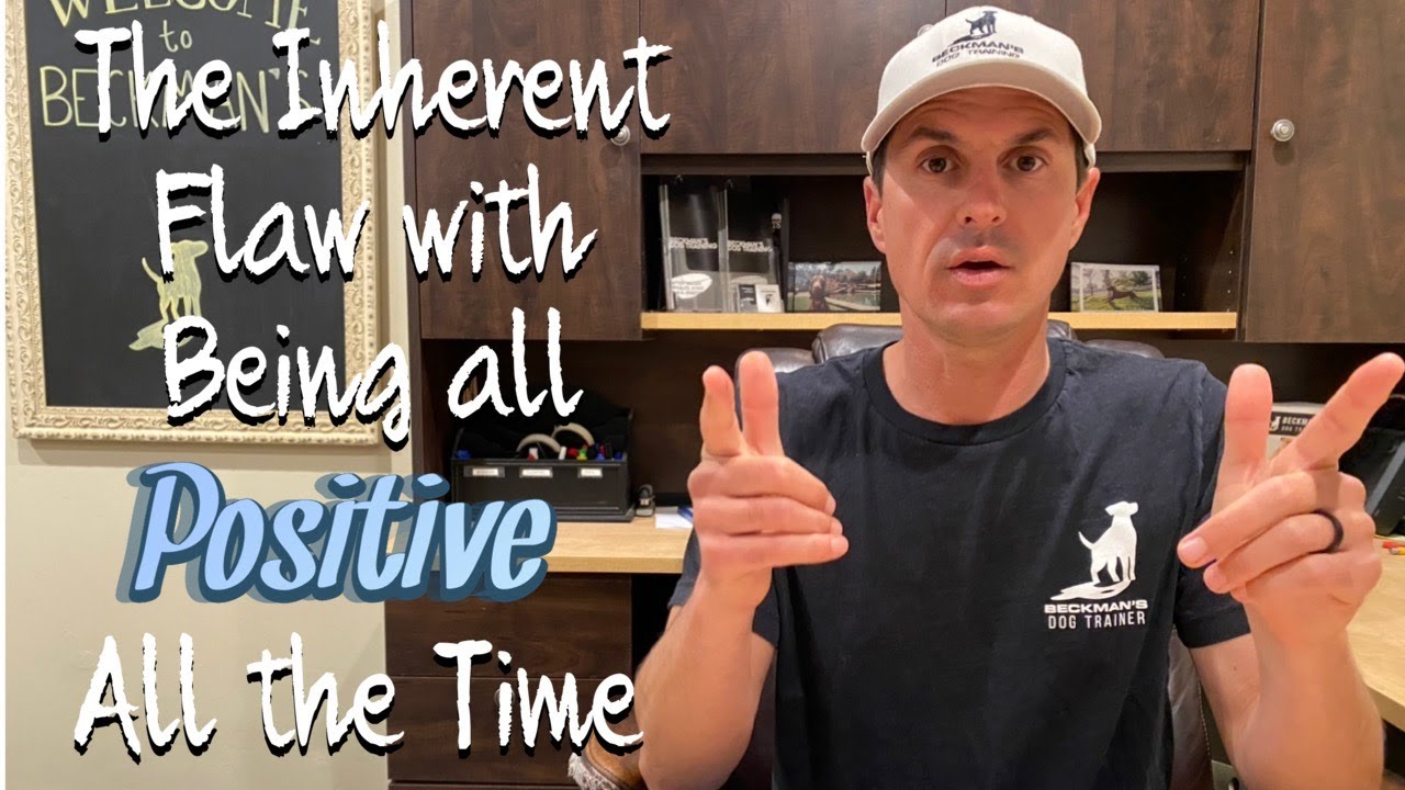 The Main Flaw with Positive Reinforcement Training