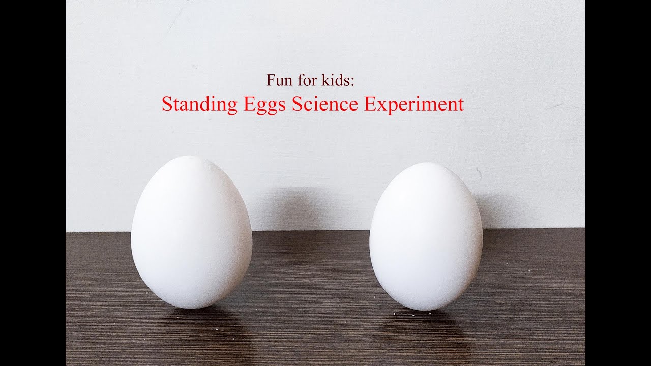 Standing Eggs Science Experiment | DIY | Do it Yourself