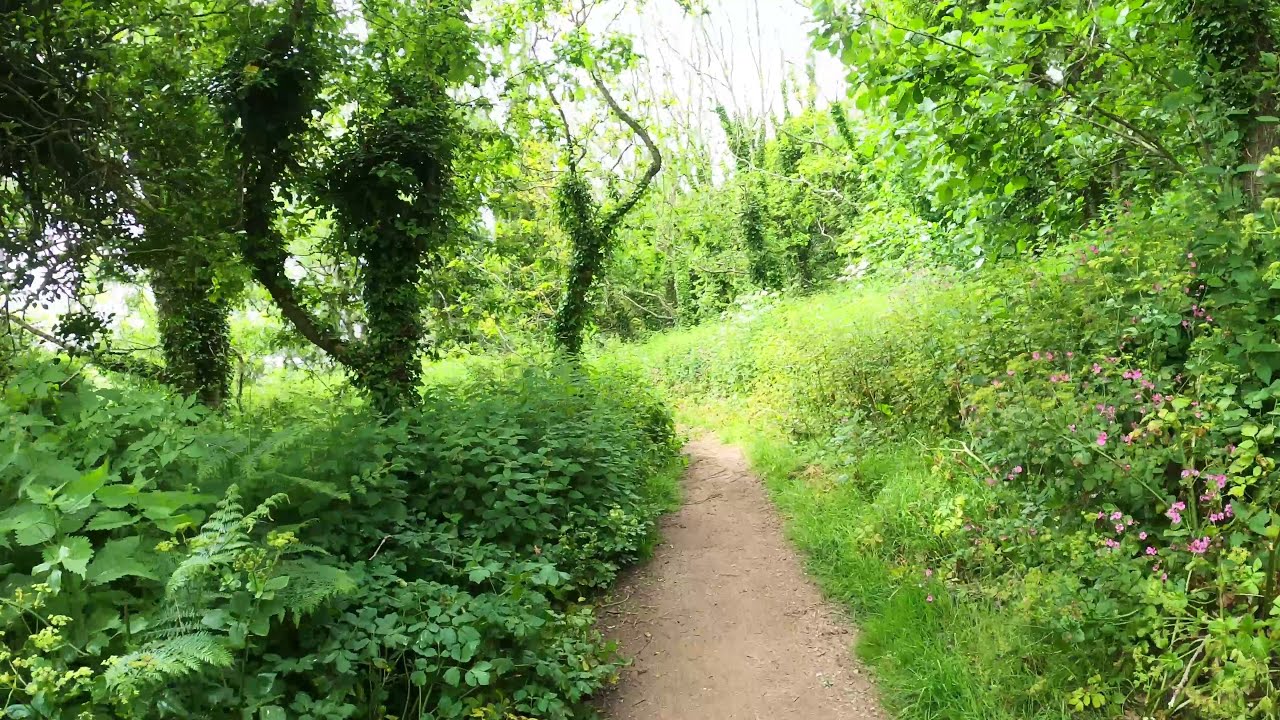 Slapton Sands Beach and Nature Reserve in Devon