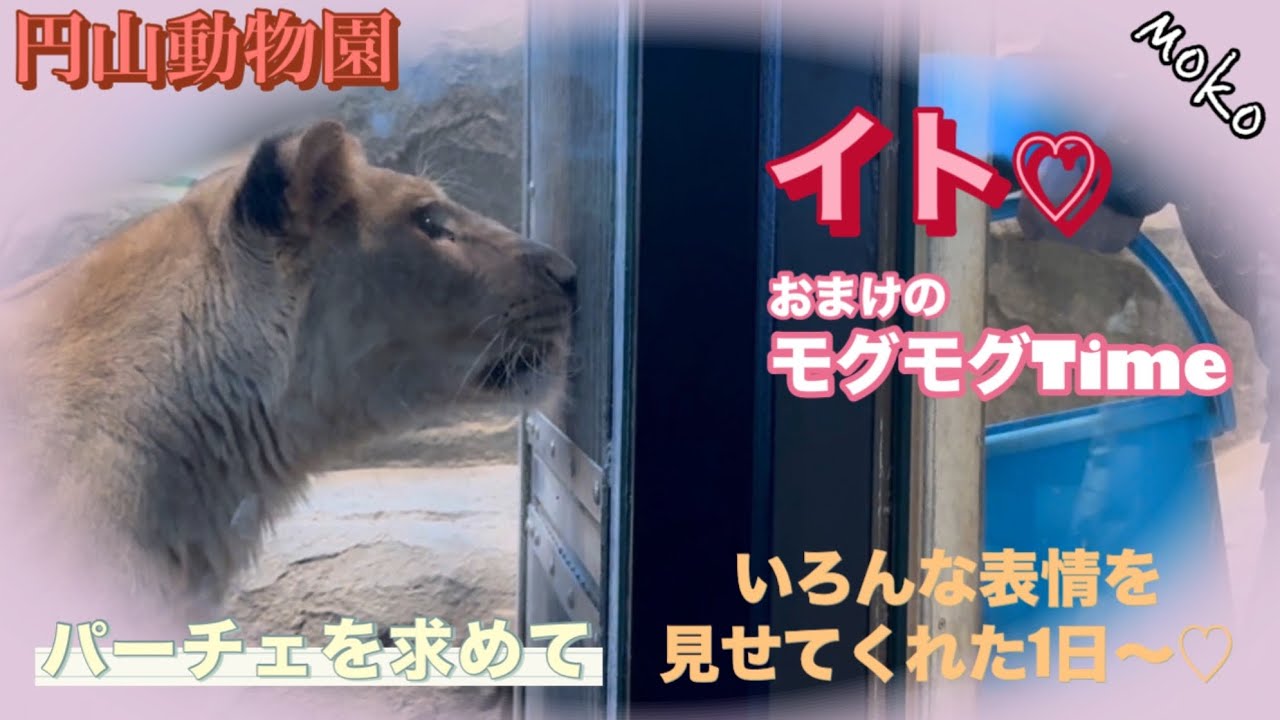 素顔の【イト】♡食べたいイトが現れた〜※穴掘り姫再来💨