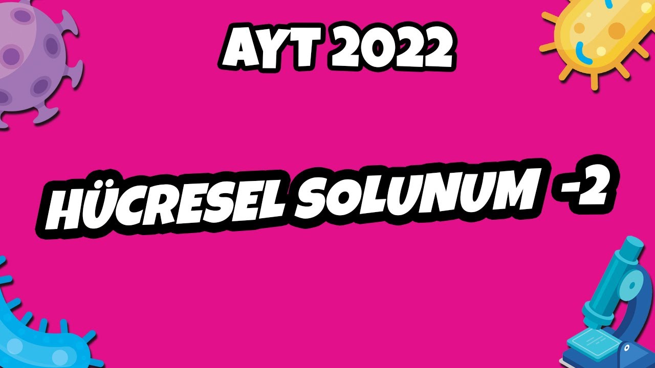 AYT Biyoloji - Hücresel Solunum -2 | AYT Biyoloji 2022 #hedefekoş