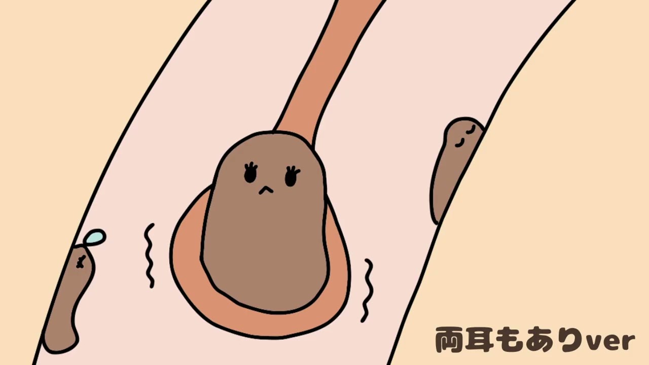音だけで分かる、耳垢が耳かきにのる瞬間｜ごりごり耳かき 両耳もありver｜No Talking ASMR | Ear Cleaning