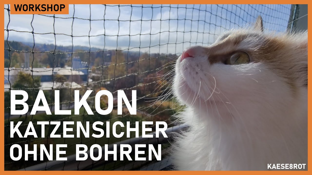 Balkon für Katzen sicher machen [ohne bohren]