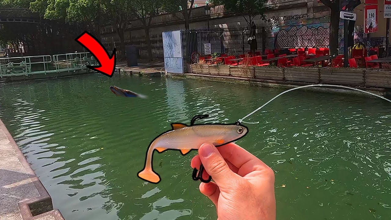 These BEASTS Live In Paris Canals! (NEW SPECIES)